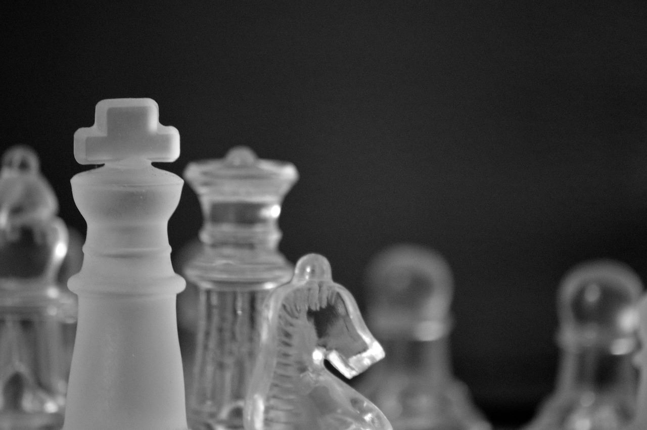 leadership and decision-making at SCI