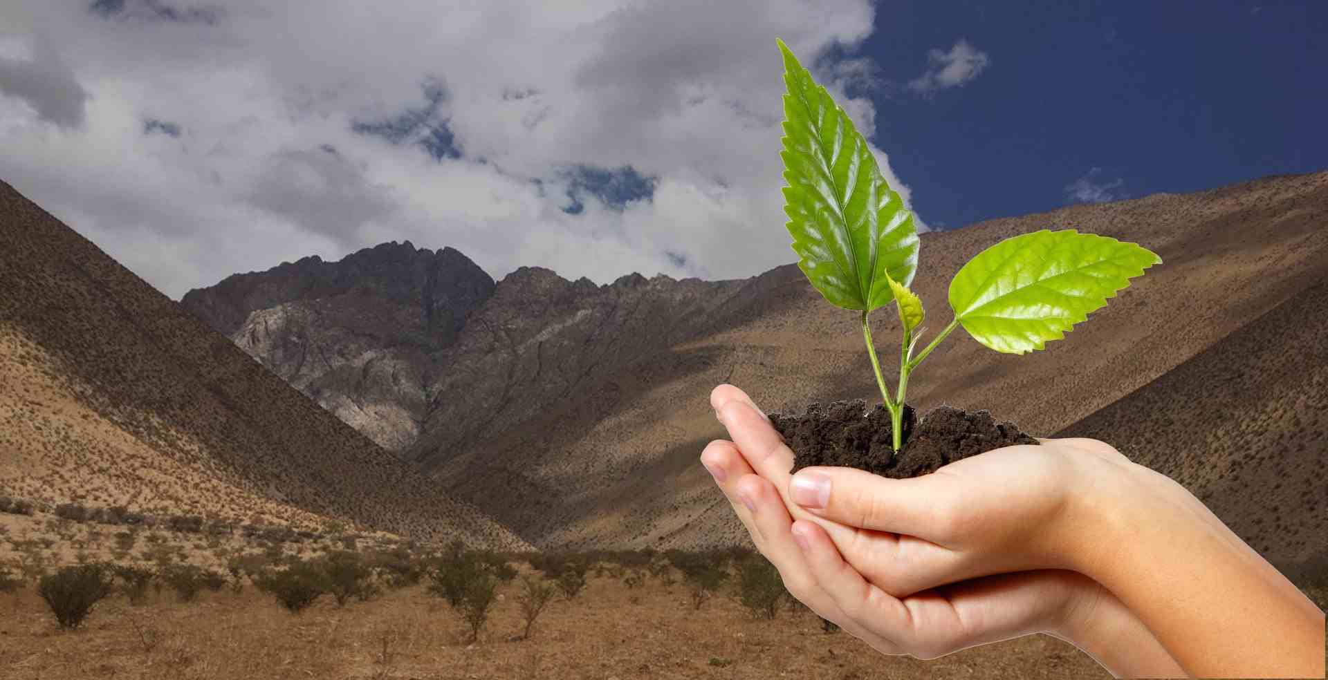 SCI global presence and technology outreach