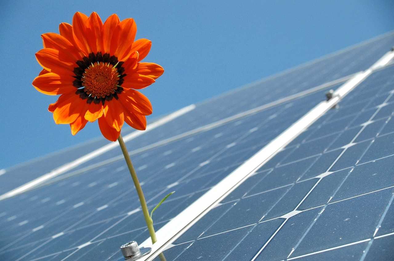 Eco friendly energy solutions