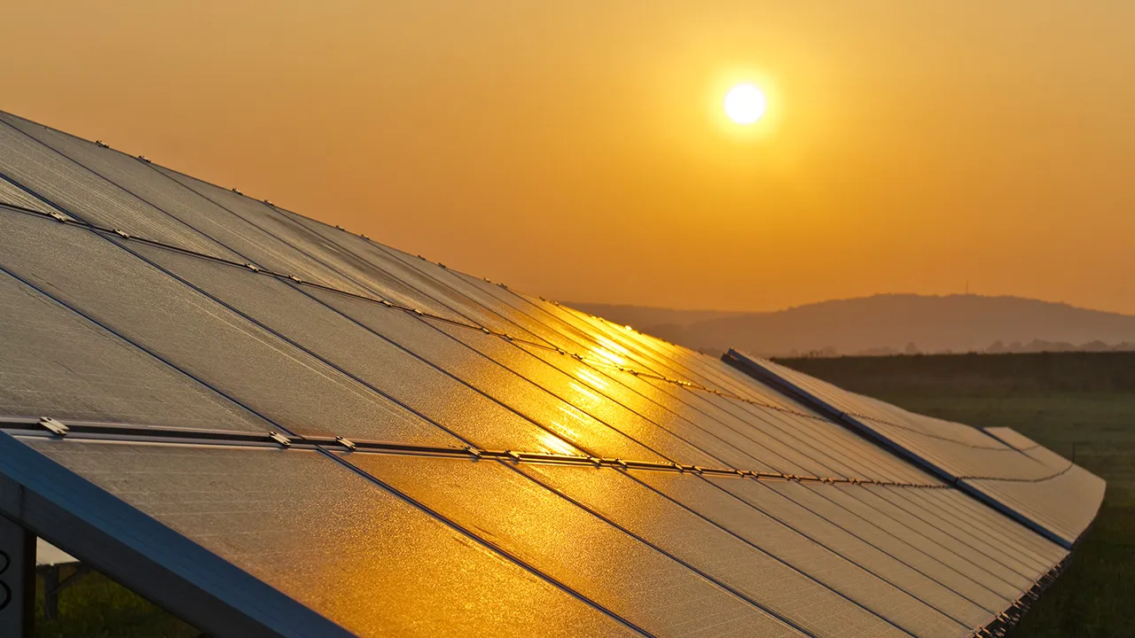 Solar farm during sunrise