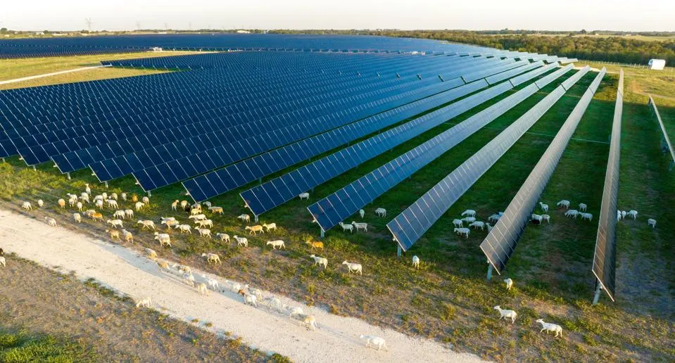 Agricultural land with solar PV system